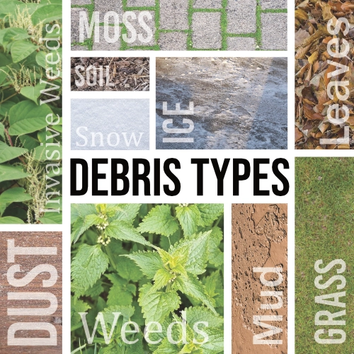 Detritus Types